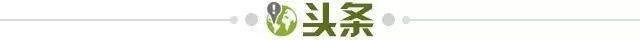 九游官方平台-【早报】武磊30岁发宏愿：让中国足球融入世界！
